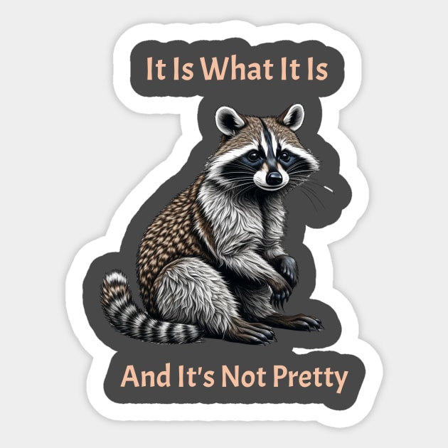 Funny Racoon Meme Sticker by Jo Palmer